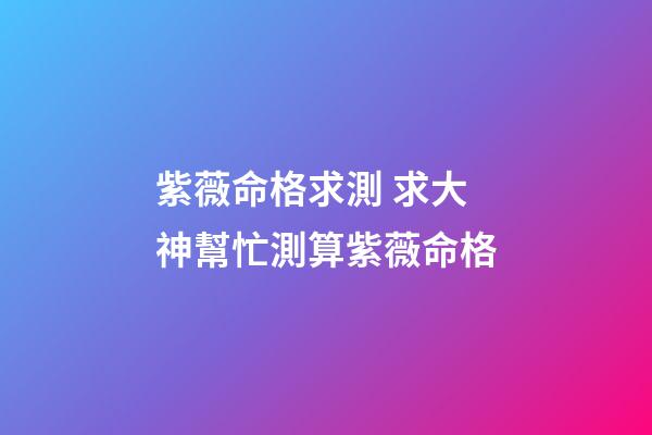 紫薇命格求測 求大神幫忙測算紫薇命格-第1張-觀點-玄機派